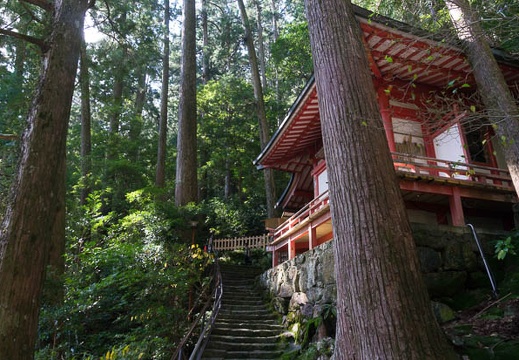 201509220905-DSC08344N6.jpg