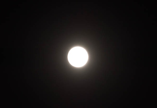 201509272002-DSC06352.jpg