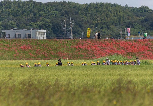 201509291115-DSC06485.jpg