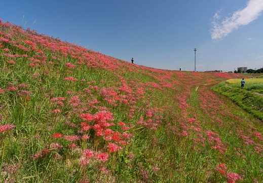 201509291134-DSC08860N6.jpg