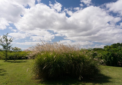 201510021219-DSC09048N6.jpg