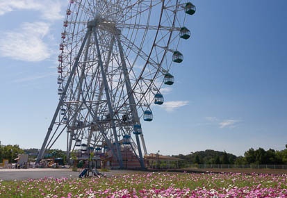 201510031128-DSC09272N6.jpg