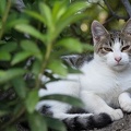 201510041550-DSC05655RX10.jpg