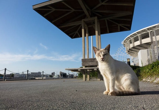 201510041612-DSC05697RX10.jpg