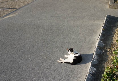 201510041632-DSC05744RX10.jpg