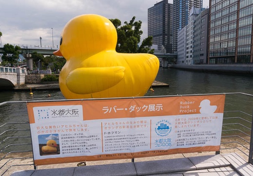 201510121151-DSC09919N6.jpg