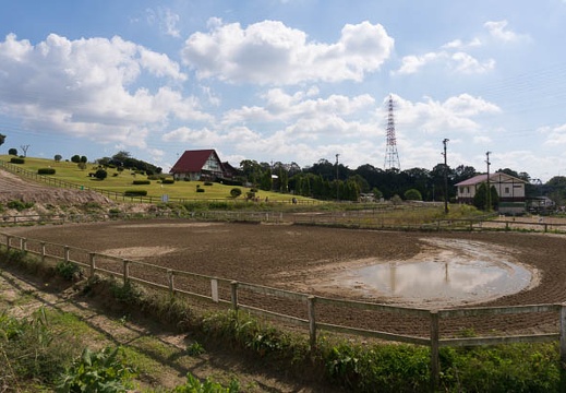 201510131034-DSC00274N6.jpg