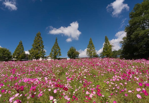 201510131114-DSC00325N6.jpg