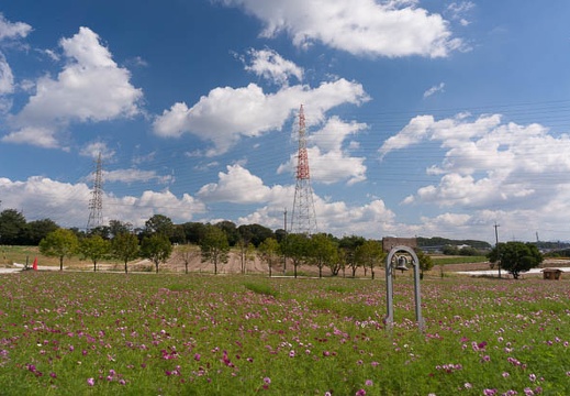 201510131123-DSC00345N6.jpg