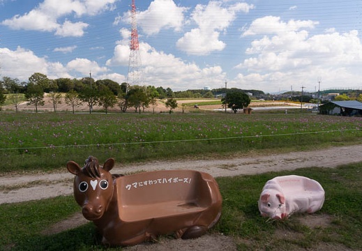 201510131125-DSC00350N6.jpg