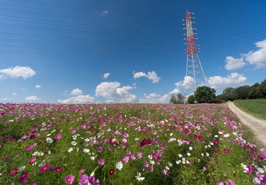 201510131201-DSC03055N5R.jpg