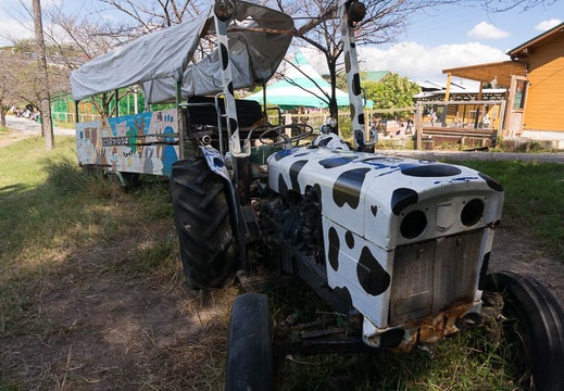 201510131216-DSC00424N6.jpg