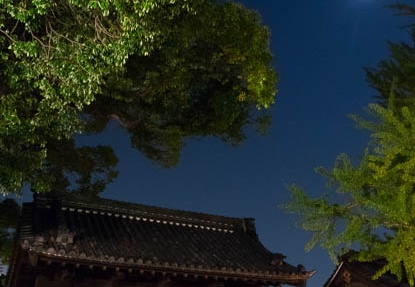 201510241914-DSC05837RX10.jpg
