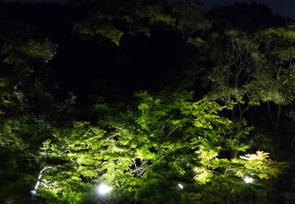 201510241920-DSC05854RX10.jpg