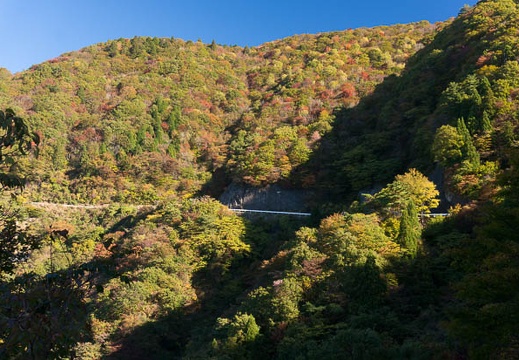 201510260835-DSC01031N6.jpg