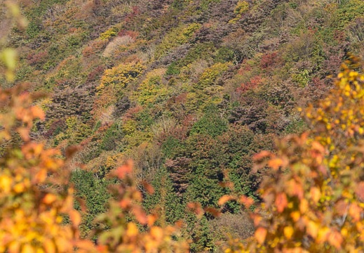 201510260900-DSC01838.jpg