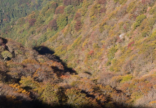 201510260917-DSC01846.jpg