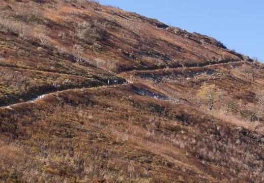 201510260927-DSC01861.jpg