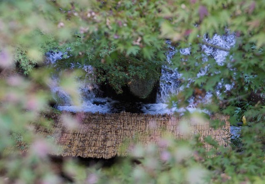 201511041547-DSC00075.jpg