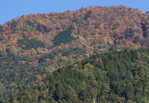 201511051129-DSC09797.jpg