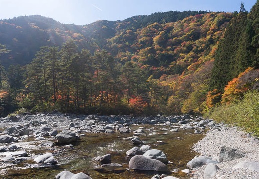 201511051205-DSC02100N6.jpg