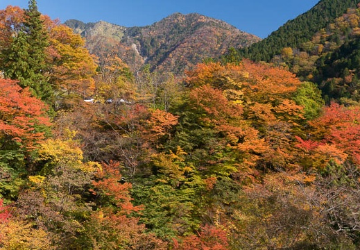 201511051313-DSC02233N6.jpg