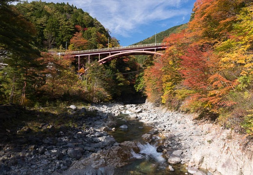 201511051322-DSC02260N6.jpg