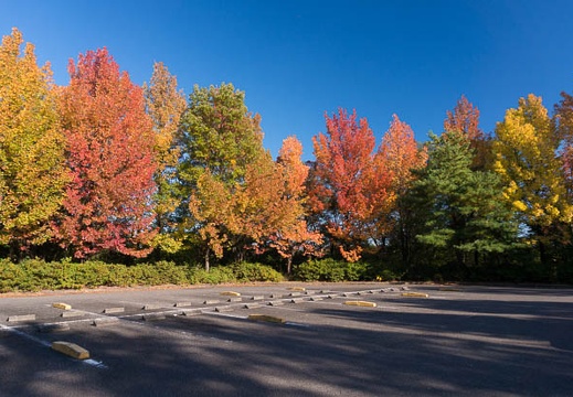 201511061426-DSC02407N6.jpg