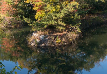 201511061455-DSC02438N6.jpg