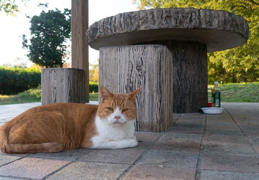 201511061458-DSC02445N6.jpg