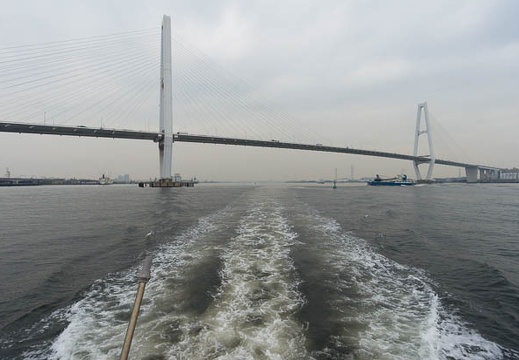 201511071244-DSC03188N5R.jpg