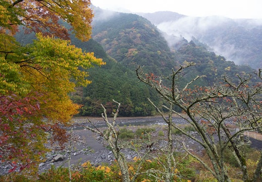 201511080756-DSC06234RX10.jpg