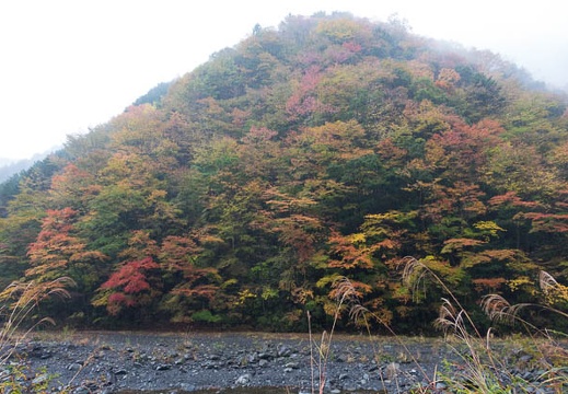 201511080836-DSC06310RX10.jpg
