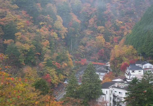 201511080848-DSC06338RX10.jpg
