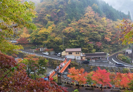 201511080933-DSC06488RX10.jpg