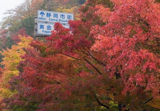 201511081135-DSC06824RX10.jpg