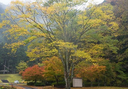 201511081209-DSC06878RX10.jpg