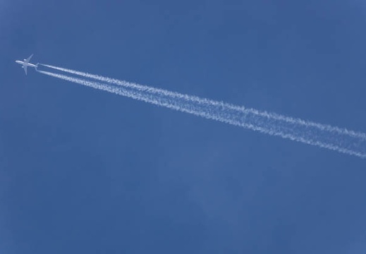 201511111003-DSC00258.jpg