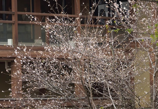 201511171201-DSC00674.jpg
