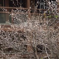 201511171201-DSC00674.jpg