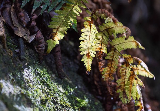 201511191207-DSC00799.jpg