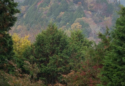 201511220846-DSC07981RX10.jpg
