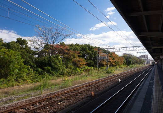 201511271308-DSC09568RX10.jpg