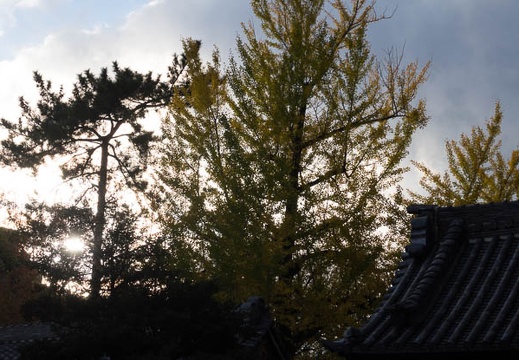 201511271533-DSC09708RX10.jpg