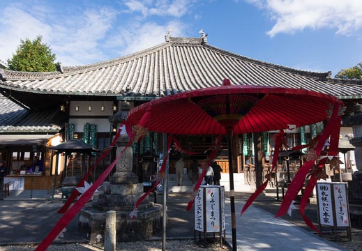 201511281052-DSC09798RX10.jpg