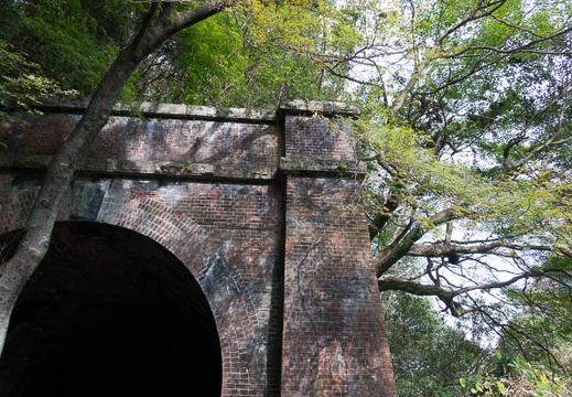 201511291132-DSC00222RX10.jpg