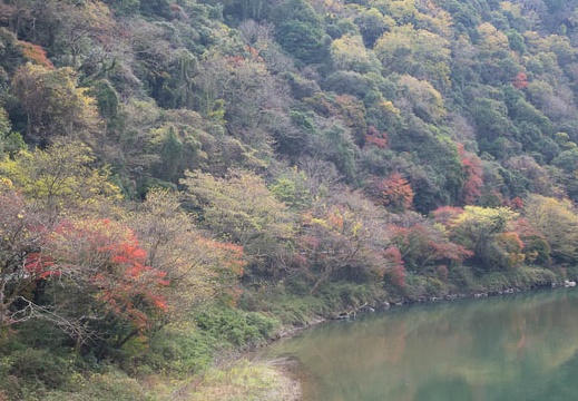 201511291148-DSC00287RX10.jpg