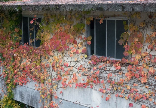 201511291422-DSC00515RX10.jpg