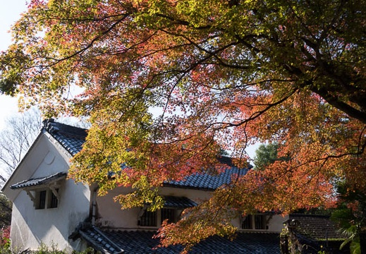 201511301130-DSC00726RX10.jpg