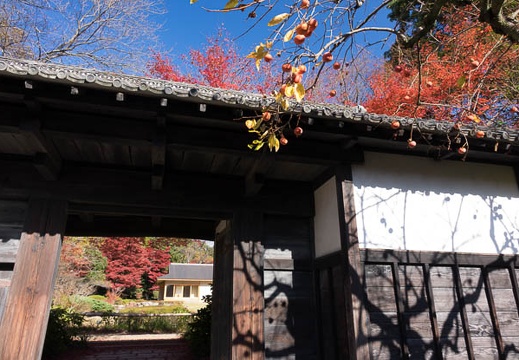 201512051149-DSC01679RX10.jpg